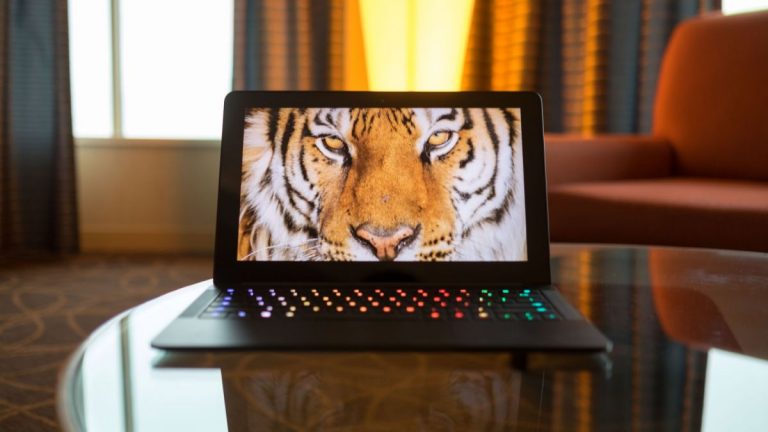Razer Blade Stealth Review – Gaming Force Unleashed!!