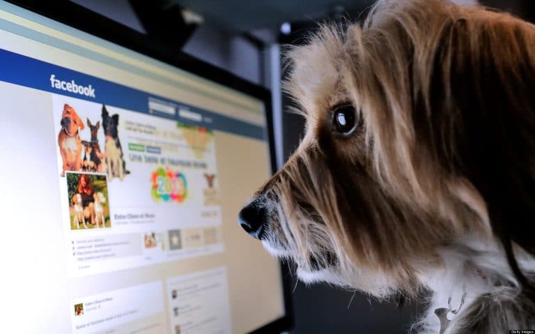 Facebook – Making Users Unhappy and Jealous Since 2004