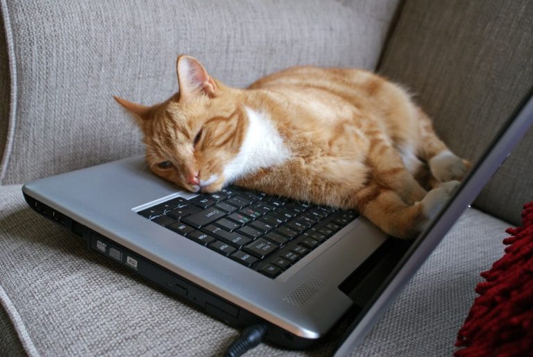 Biggest Lies About Making Money Online