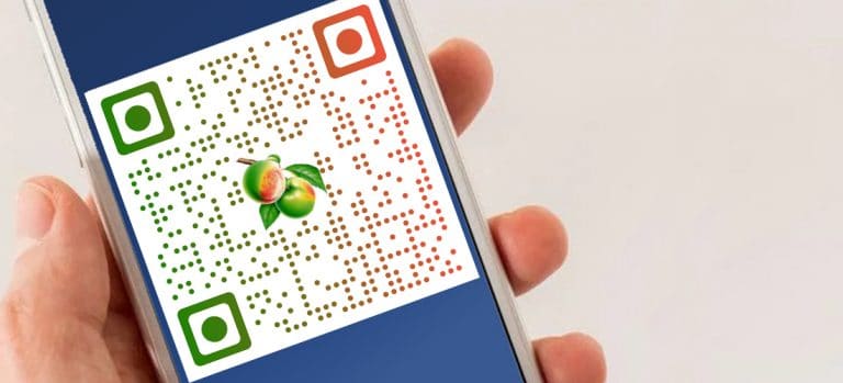 How Does a Multi URL QR Code or Smart QR Code Works