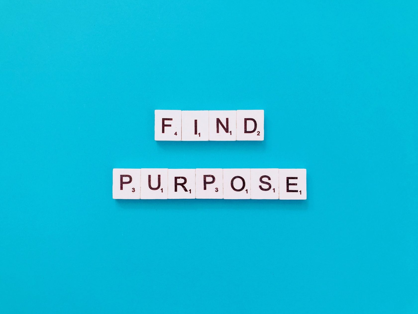 Find purpose.