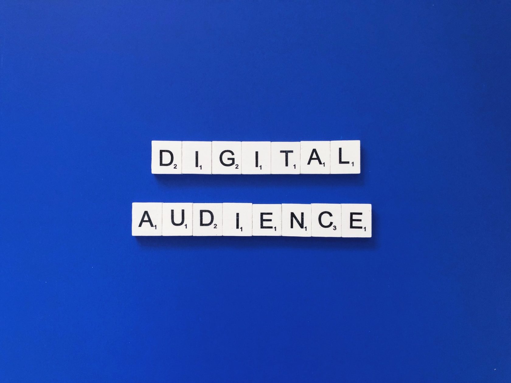 digital audience