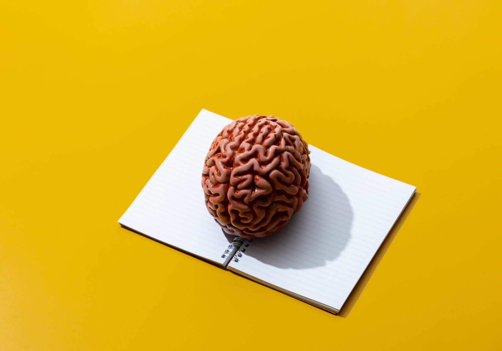 Visual Content in Brain