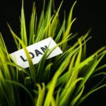 Credit concept. Loan written on white card.