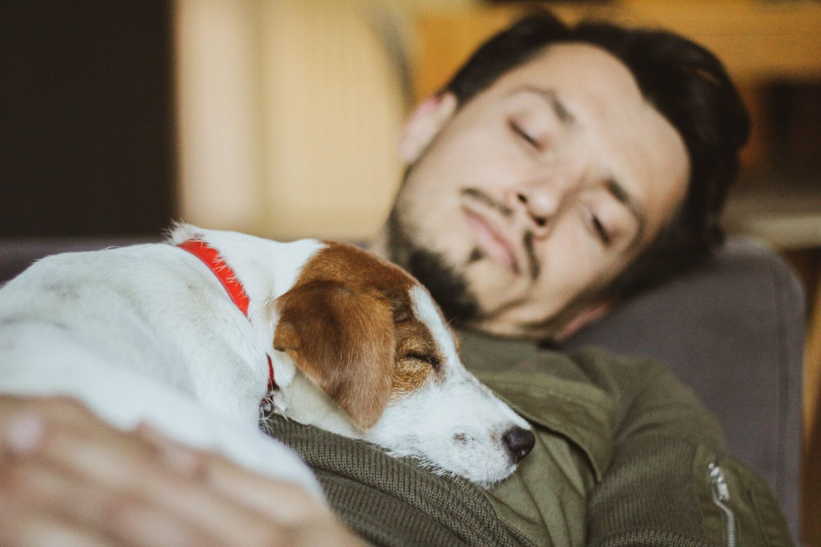 Potential Benefits of CBD in Dogs