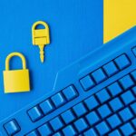 Cyber data and information security and Password Manager